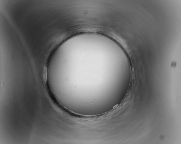 X0000103250013200808281107