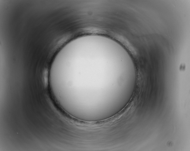 X0000103250014200808281107