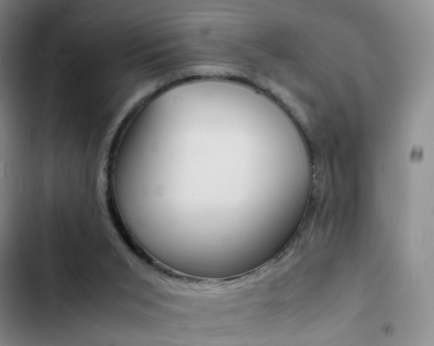 X0000103250015200808281107