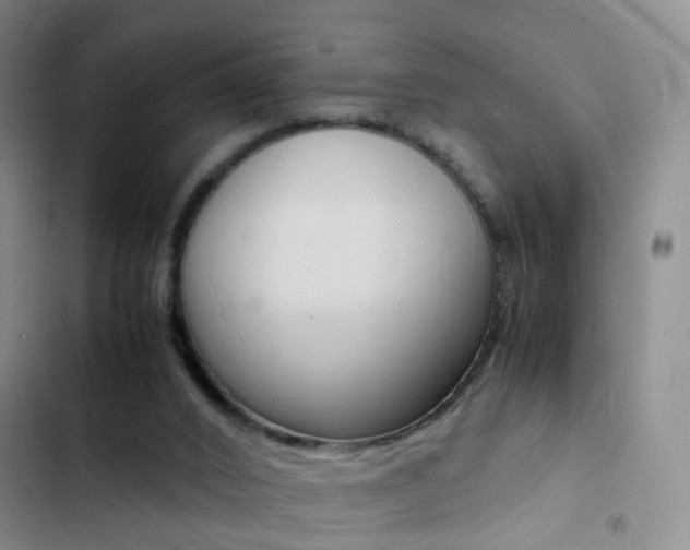 X0000103250016200808281107