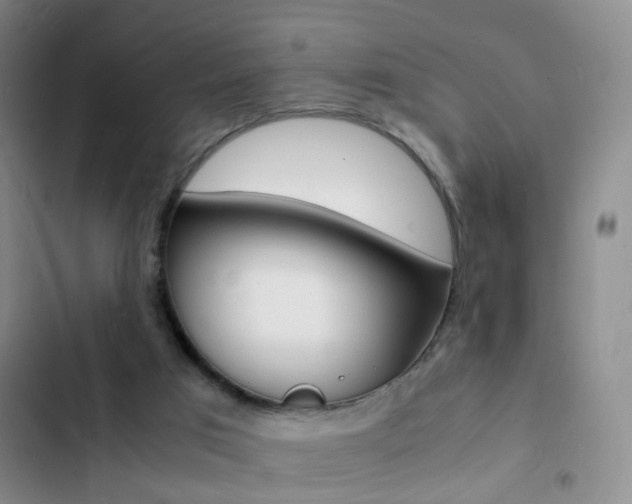 X0000103250017200808281107