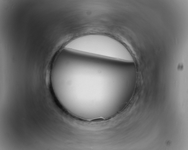 X0000103250019200808281107