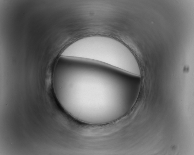 X0000103250021200808281107