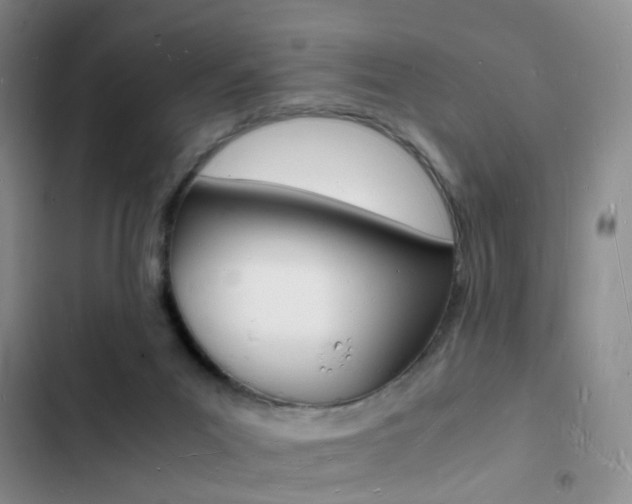 X0000103250023200808281107