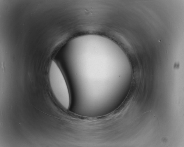 X0000103250024200808281107