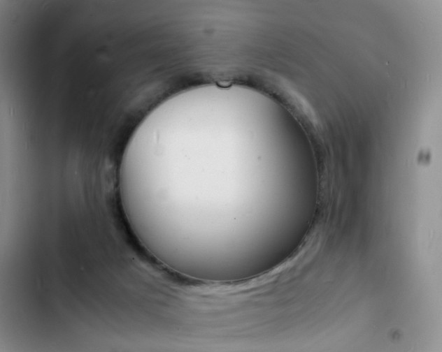 X0000103250025200808281107