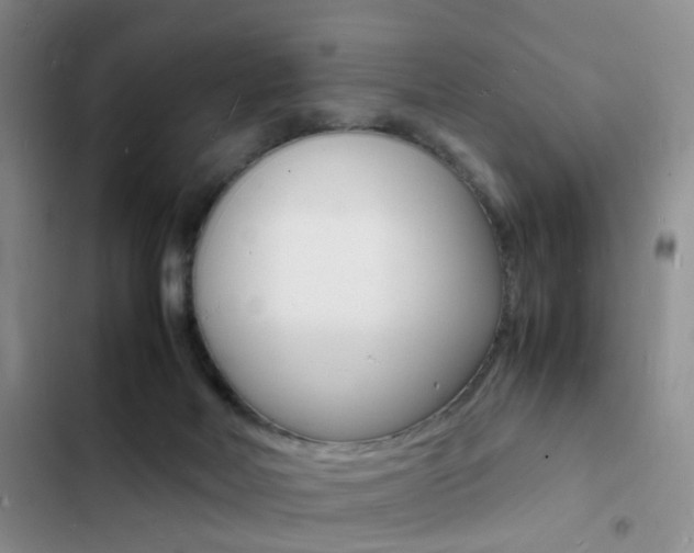 X0000103250026200808281107