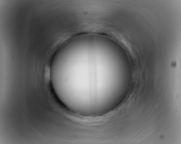 X0000103250027200808281107
