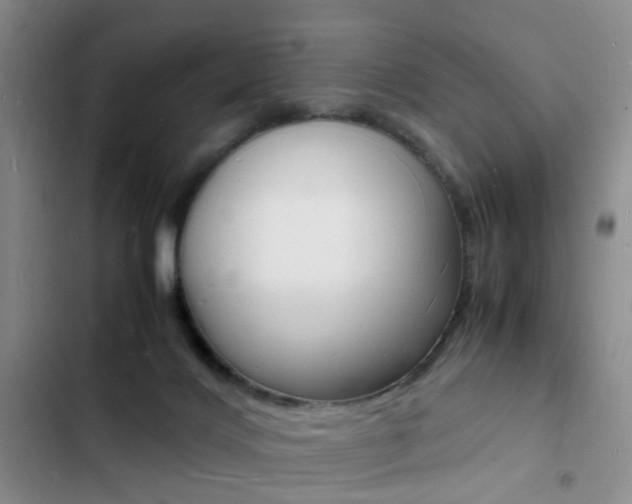 X0000103250028200808281107