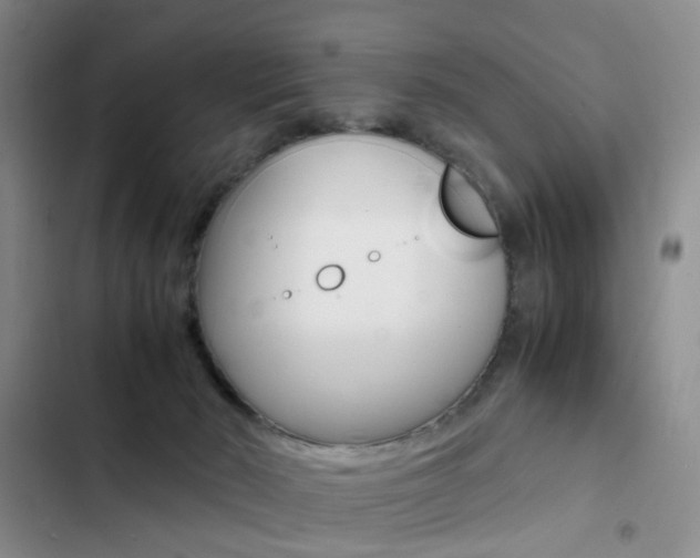X0000103250030200808281107