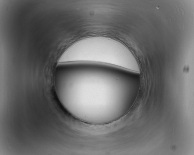 X0000103250031200808281107