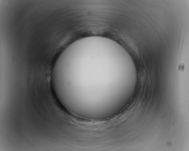 X0000103250032200808281107