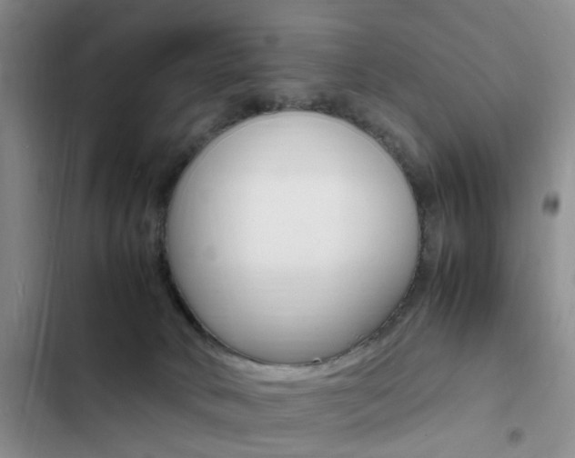 X0000103250034200808281106
