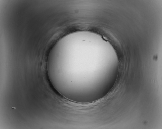 X0000103250035200808281106