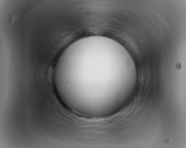 X0000103250036200808281106