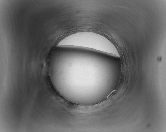 X0000103250037200808281106