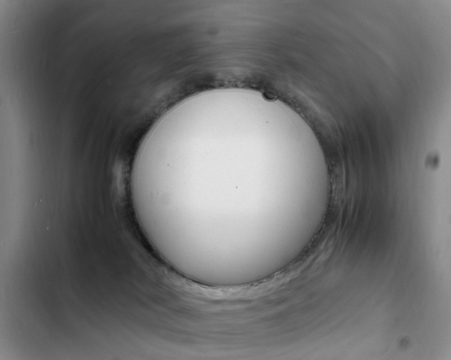 X0000103250038200808281106