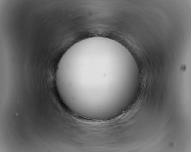 X0000103250040200808281106