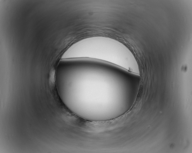 X0000103250041200808281106