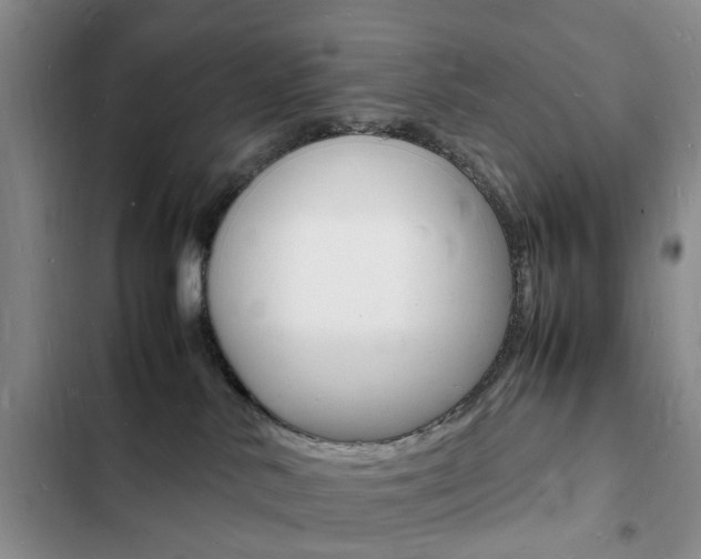 X0000103250042200808281106