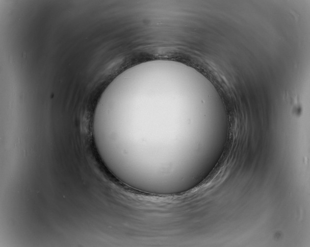X0000103250044200808281106
