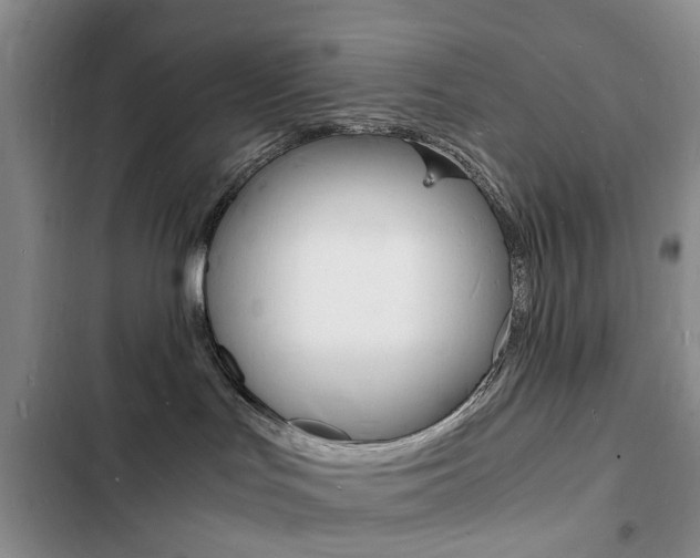 X0000103250047200808281106