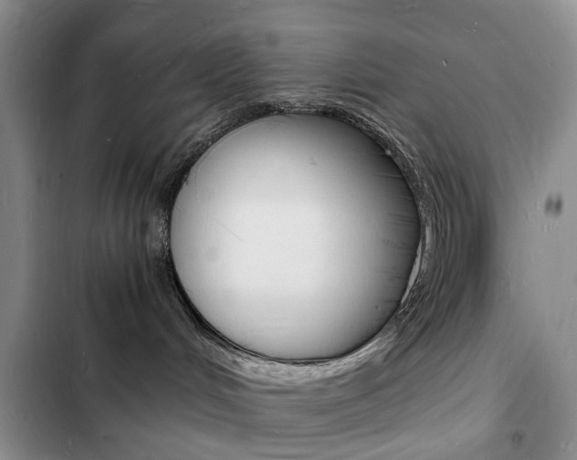 X0000103250048200808281106