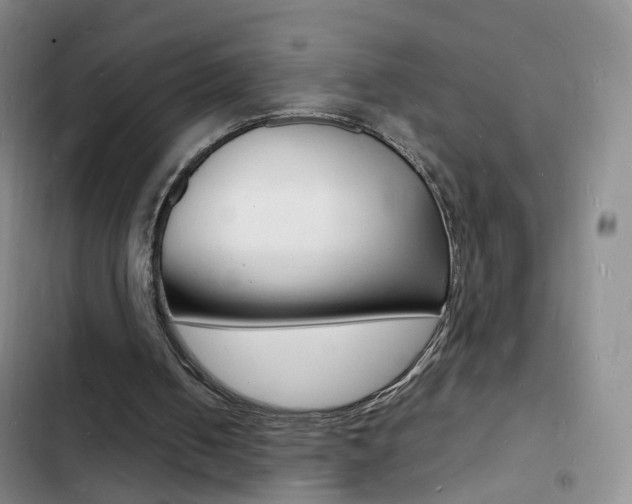 X0000103250050200808281106