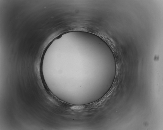 X0000103250051200808281106