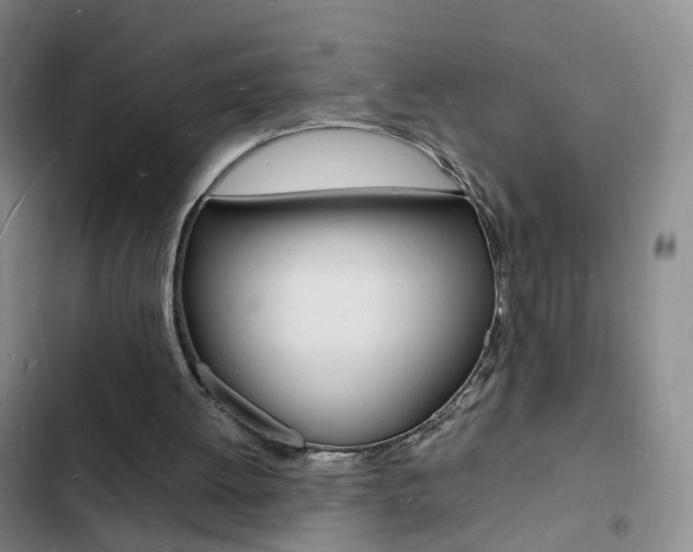 X0000103250052200808281106