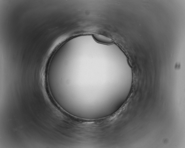 X0000103250054200808281106
