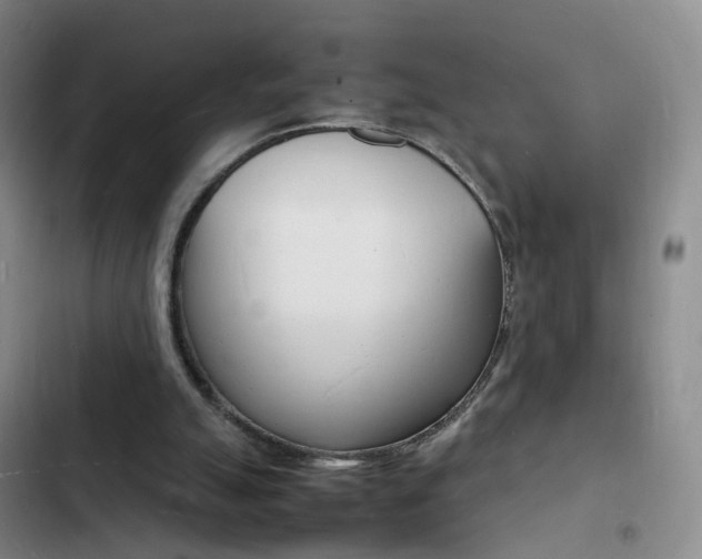 X0000103250055200808281106