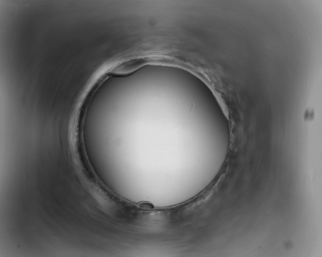 X0000103250056200808281106