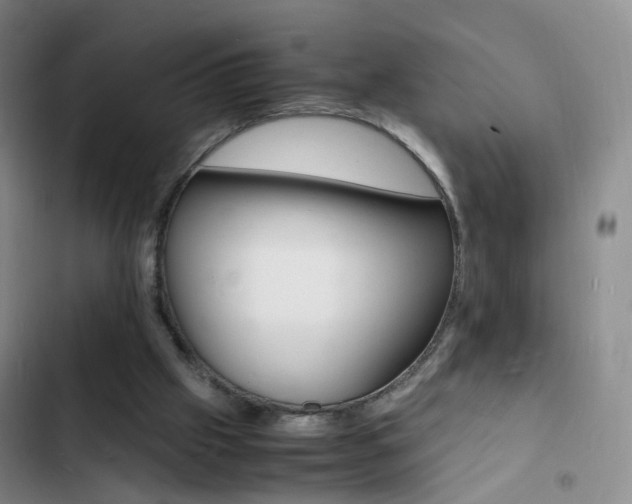 X0000103250057200808281106