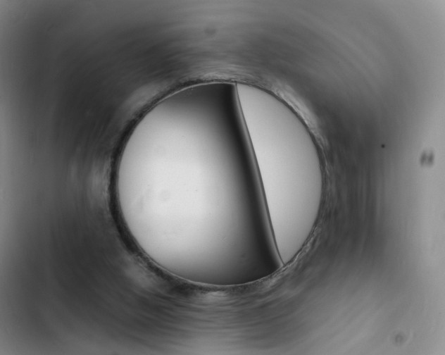 X0000103250058200808281106