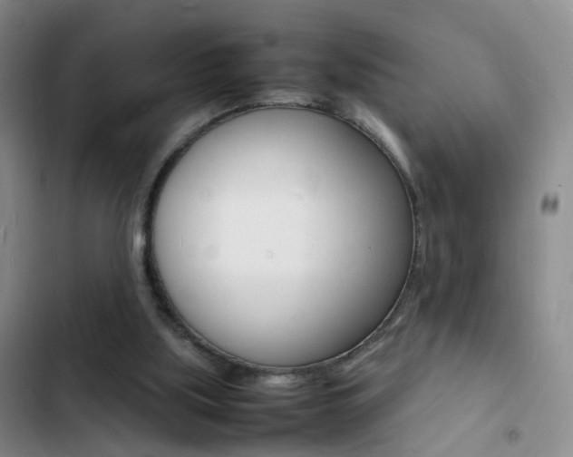 X0000103250059200808281106