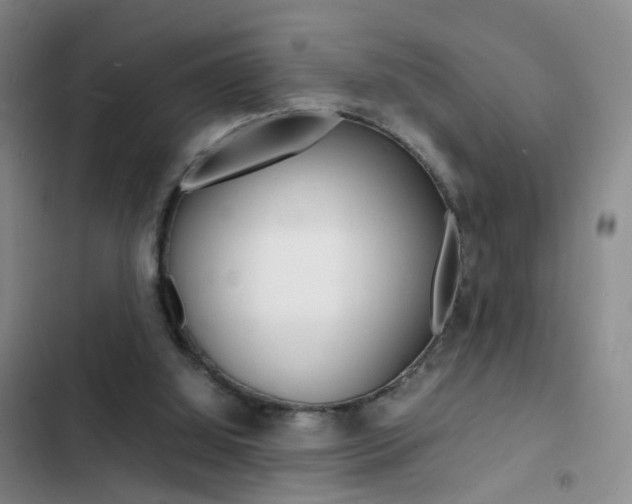 X0000103250060200808281106