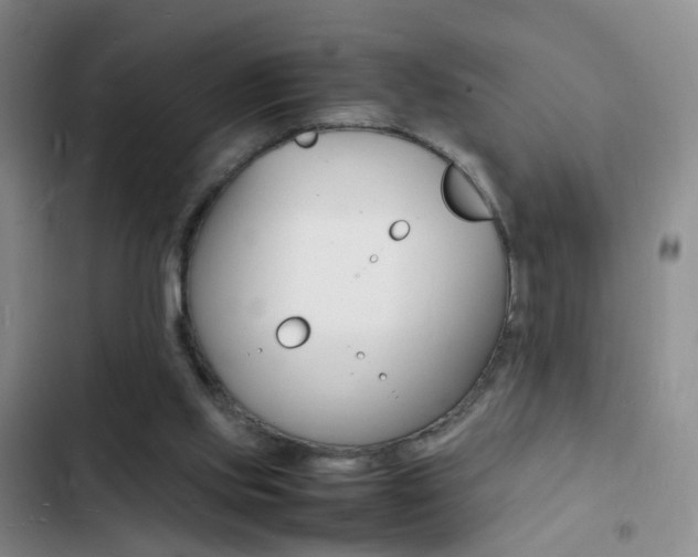 X0000103250061200808281106