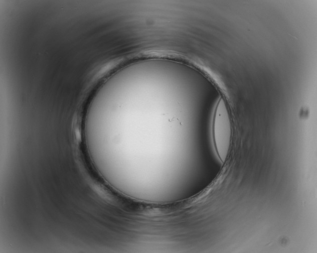 X0000103250062200808281106