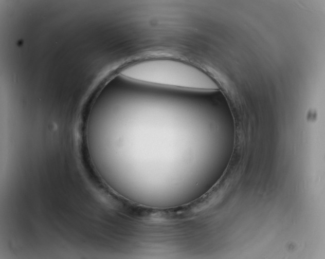 X0000103250064200808281106