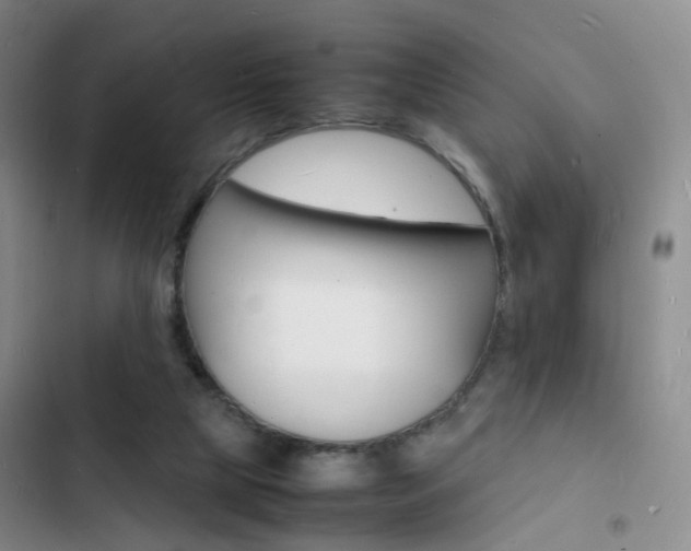 X0000103250065200808281106