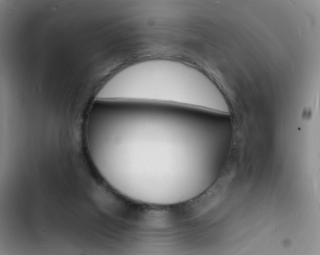 X0000103250066200808281106