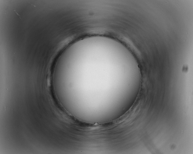 X0000103250068200808281106