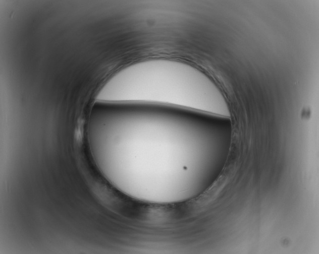 X0000103250070200808281106