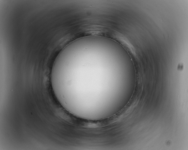 X0000103250073200808281106