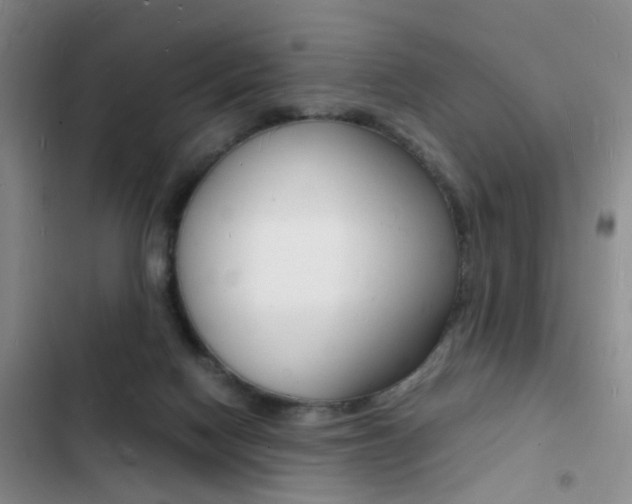 X0000103250074200808281106