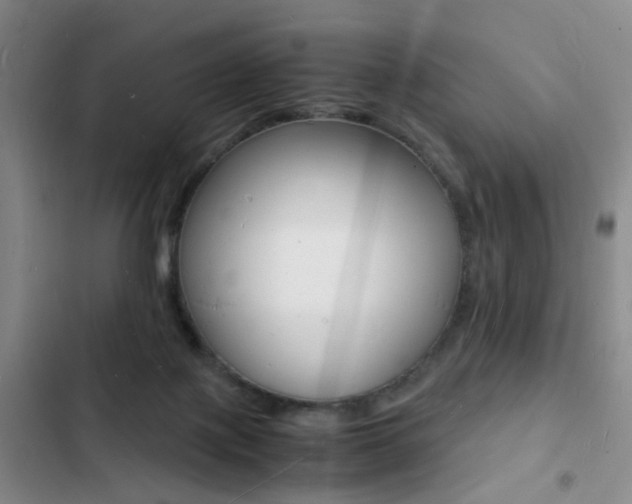 X0000103250075200808281106