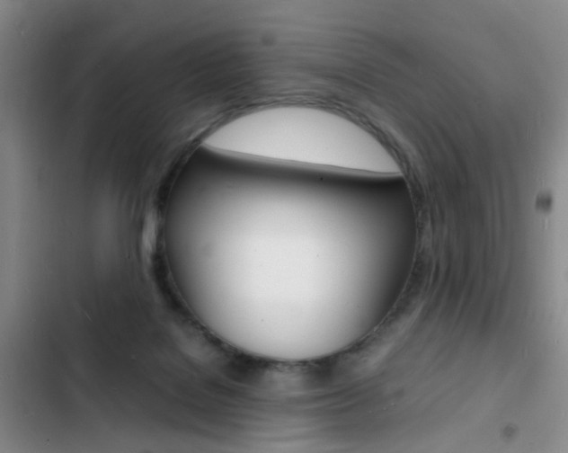 X0000103250076200808281106