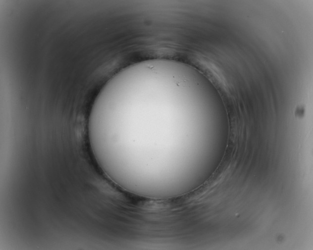 X0000103250077200808281106