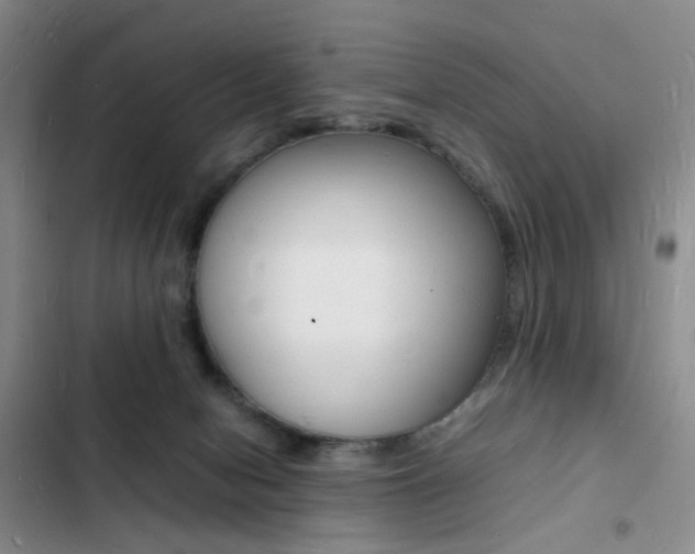 X0000103250078200808281106
